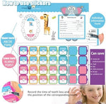 Open Glzyglyfx tooth organizer showing 20 slots and birth record