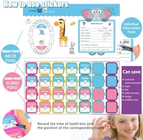 Open Glzyglyfx tooth organizer showing 20 slots and birth record