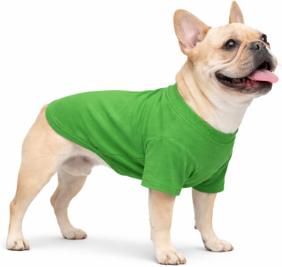 Lovelonglong bulldog green blank t-shirt front view