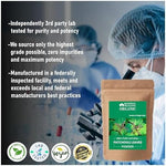 Blessfull Healing 100 gram organic patchouli powder packaging