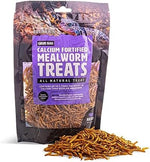 High protein preservative free mealworms for bearded dragons and geckos