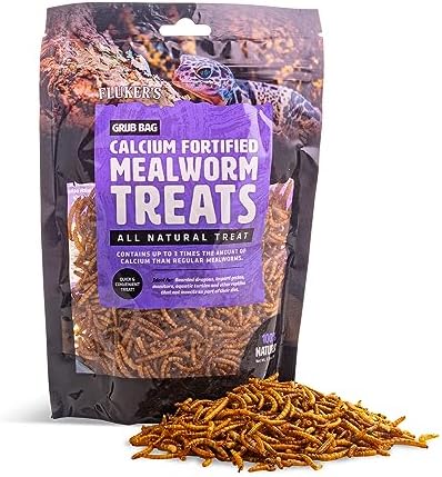 High protein preservative free mealworms for bearded dragons and geckos