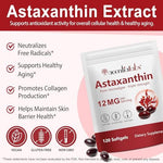 Close up view of the premium antioxidant softgel capsules showcasing the rich natural pigment from marine microalgae.
