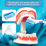 Premium multi layered soft nylon bristles on a professional denture cleaning tool.