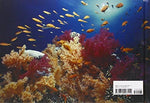 Underwater Eden: 365 Days - Image 3
