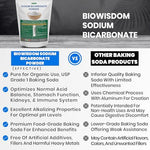 BioWisdom food grade sodium bicarbonate antacid supplement for organic use.