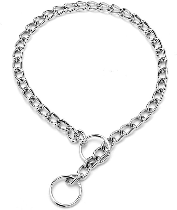 Hotlion heavy duty metal dog slip collar front view on a german shepherd
