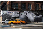 JR - New York - Image 3