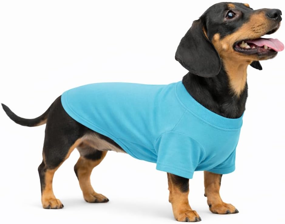 Lovelonglong dachshund dog t shirt front view