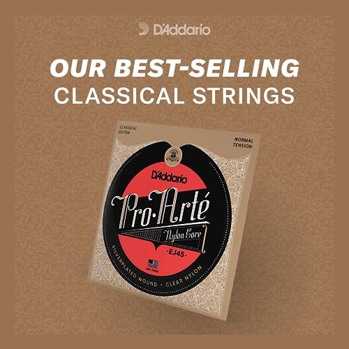 Full set of six classical guitar strings uncoiled displaying the clear nylon trebles and polished composite basses.