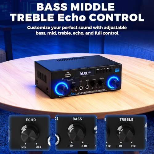 Authentic USA imported home karaoke amplifier with dual mic ports and echo control