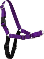 PetSafe Easy Walk Harness, No Pull Dog Harness, Black, Extra Large | Patented Martingale Loop Gives Gradual Shoulder Pressure to Stop Pulling, Front-Chest Leash Clip Prevents Gagging - Image 12
