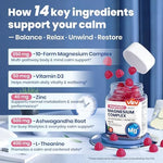 VEV 14in1 magnesium glycinate with ashwagandha supplement for nightly use