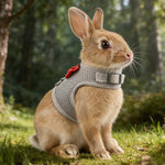 Aiitle kitten mesh harness highlighting the anti escape widened magic tape design