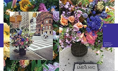 Flower Flash - Image 8