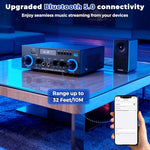 Rear panel view of Romicta audio amplifier showing speaker terminals and inputs