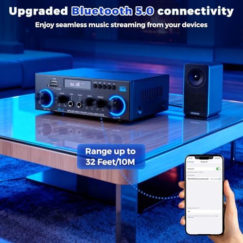 Rear panel view of Romicta audio amplifier showing speaker terminals and inputs