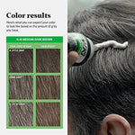 Just For Men H-40 shade guide and permanent gray coverage results illustration.