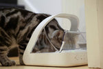 Microchip activated pet feeder showing RFID collar tag compatibility and sealed lid design