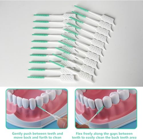 WQINX disposable oral care picks being carried in a pocket inside its compact transparent storage container