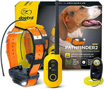 Dogtra Pathfinder 2 orange GPS tracking collar strap