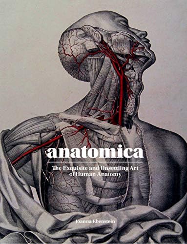 Anatomica: The Exquisite and Unsettling Art of Human Anatomy - Image 2