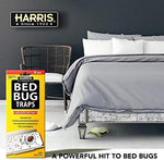 Harris bed bug traps residential room setup