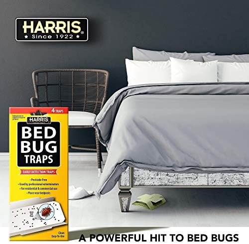 Harris bed bug traps residential room setup