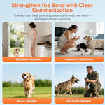 Premium pet training collar kit with long standby rechargeable batteries