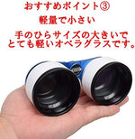 SIGHTRON Stella Scan ultra wide field binoculars package layout displaying the included premium semi-hard protective case.