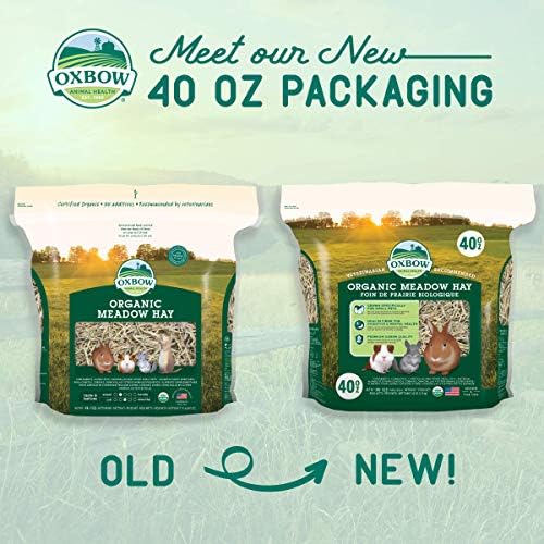 High fiber natural grass hay for guinea pig digestion care
