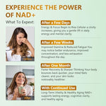 Uncena NAD+ and Resveratrol supplement for healthy aging