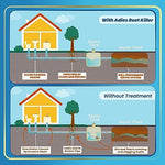 Adios sewer root treatment for pipe maintenance