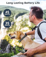 Premium imported electronic pet behavior correction device package contents