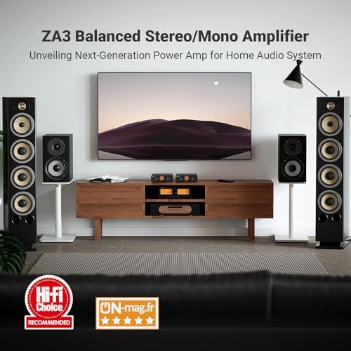 Fosi Audio ZA3 compact desktop power amplifier showcasing the rear panel balanced XLR and RCA inputs.