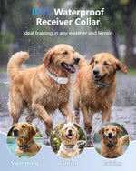 Patpet dog training collar adjustable strap
