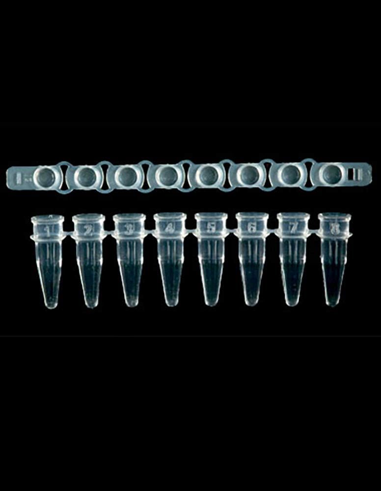 Genesee Scientific clear ultra thin wall PCR strip tubes box packaging