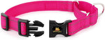 PLUTUS PET no pull dog choker collar showing the durable quick snap buckle design