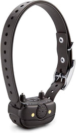 Garmin BarkLimiter Deluxe device showing stainless steel contact points