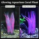 CAPASTEC aquarium fluorescence coral decor packaged dimensions and size verification