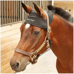Back on Track horse head cap attached to halter in stable setting