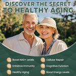 Close up of Megneta Liposomal NAD+ softgel nutritional facts