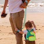 Accmor toddler safety harness accessories layout