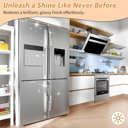 Long-lasting shine ceramic sealant kit for home appliances