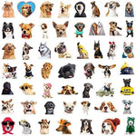 Set of 50 unique animal stickers for kids and adults