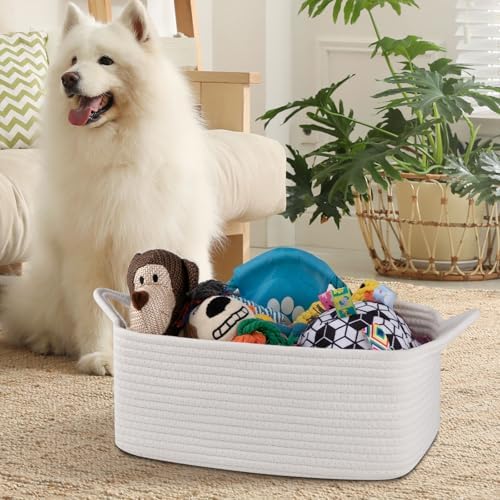 OIAHOMY rectangular rope basket used as a pet toy storage bin in the living room.