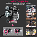 Ulanzi U-190 tripod head with Arca Swiss plate attached