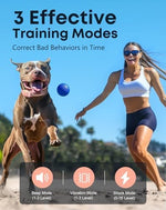 Handheld remote trainer with security lock and LCD screen for dogs