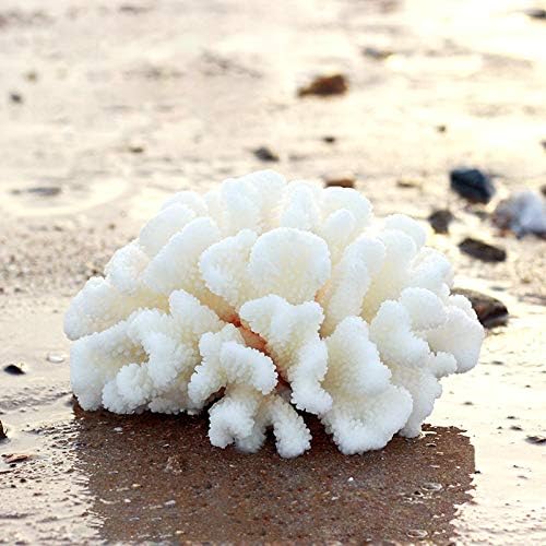 Besimple marine reef replica underwater sea plant decoration close up view
