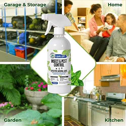 8oz Insect and Pest Control Peppermint Oil - Natural Spray for Spiders, Ants, and More (2) - Image 6